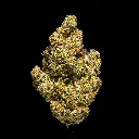 Supersonic Indoor -FLOAT- 120225.webp