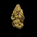 Nuclear Slurpee Indoor -FLOAT- 120225.webp