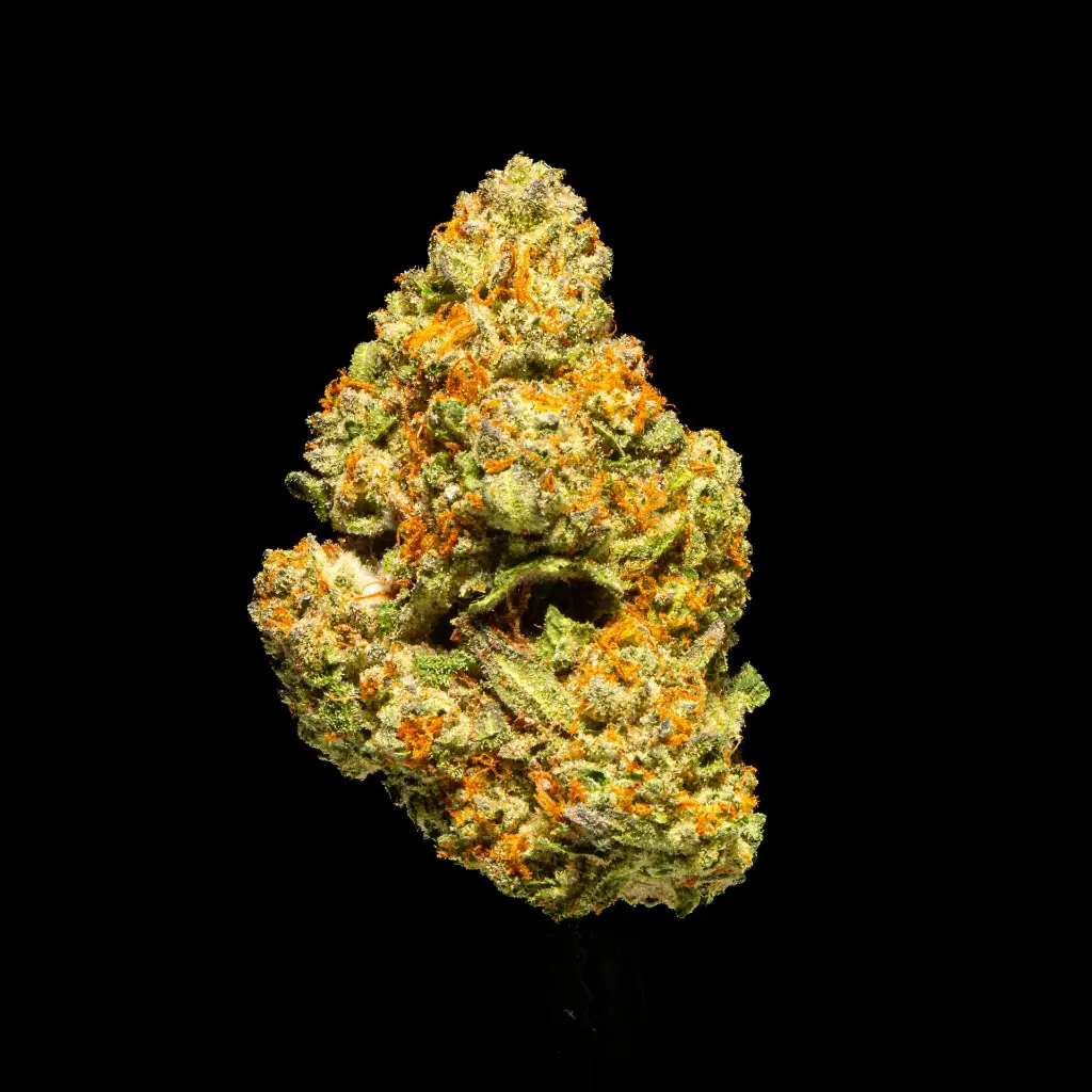 Forbidden Fruit Indoor -FLOAT- 120225.webp