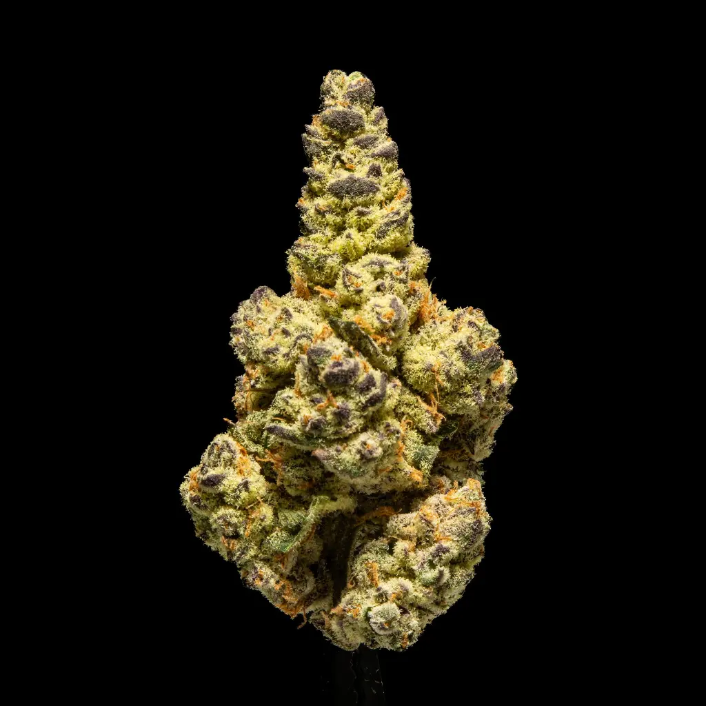 Devil Driver Indoor -FLOAT- 120225.webp