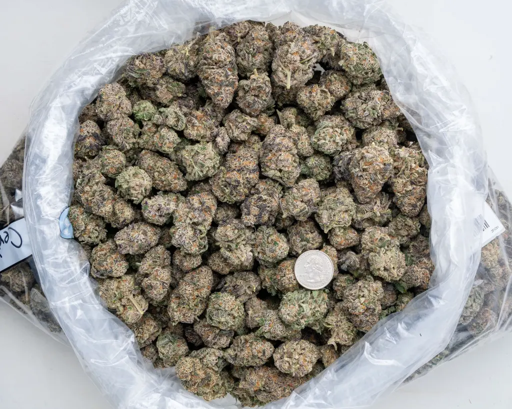 Califire OG Indoor -BAG- 120225.webp