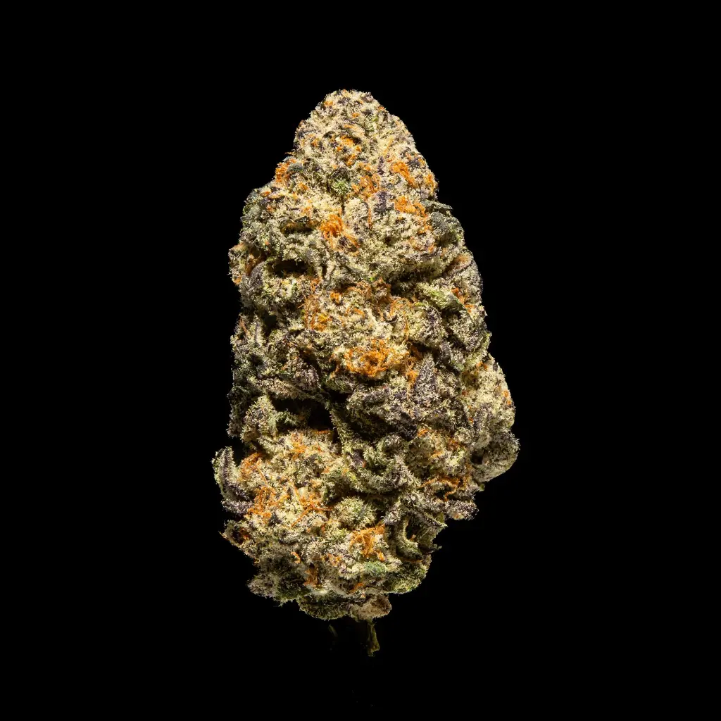 Califire OG Indoor -FLOAT- 120225 (2).webp