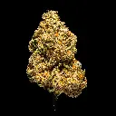 El Chivo Indoor -FLOAT- 120225.webp