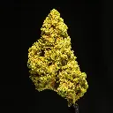 Lemon Zonkers -FLOAT- 120525.webp