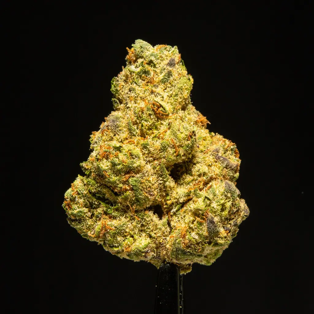 Rainbow Push Pop -FLOAT- 120525.webp