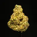 Rainbow Push Pop -FLOAT- 120525.webp