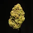 Zahiti Lime -FLOAT- 120525.webp