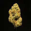 Carbon Fiber Indoor -FLOAT- 120525.webp