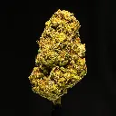 Stellar Days -FLOAT- 120525.webp