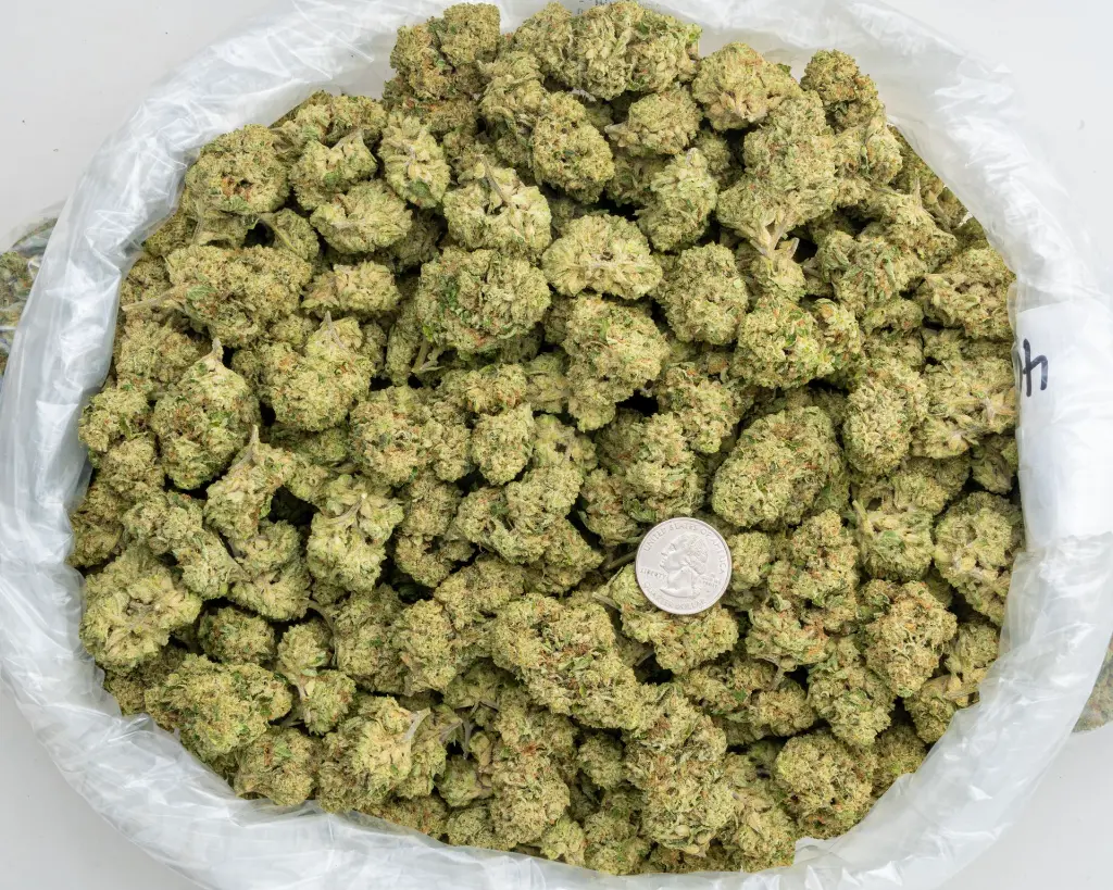 Amaretto Sour -BAG- 120525.webp