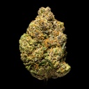 Lipsmackerz Indoor -FLOAT- 110725.jpg