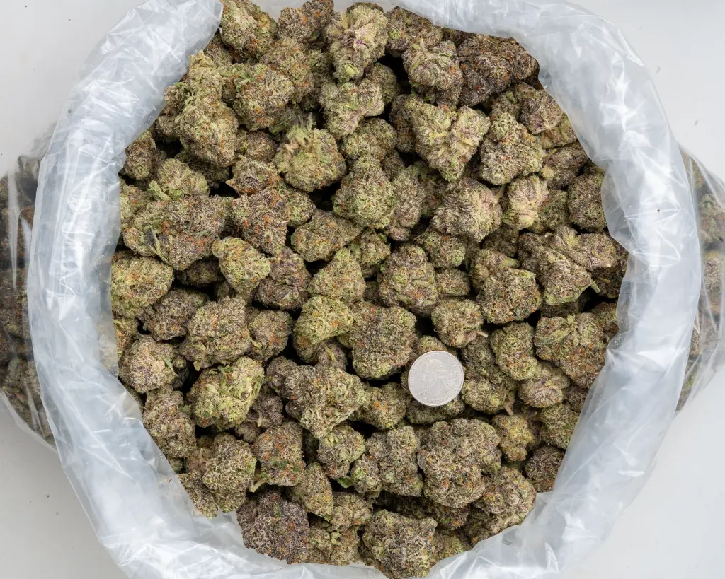 Amaretti Limon Runtz Indoor -BAG- 120825 (1).webp