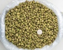 Gummiez Indoor Smalls -BAG- 081525.webp