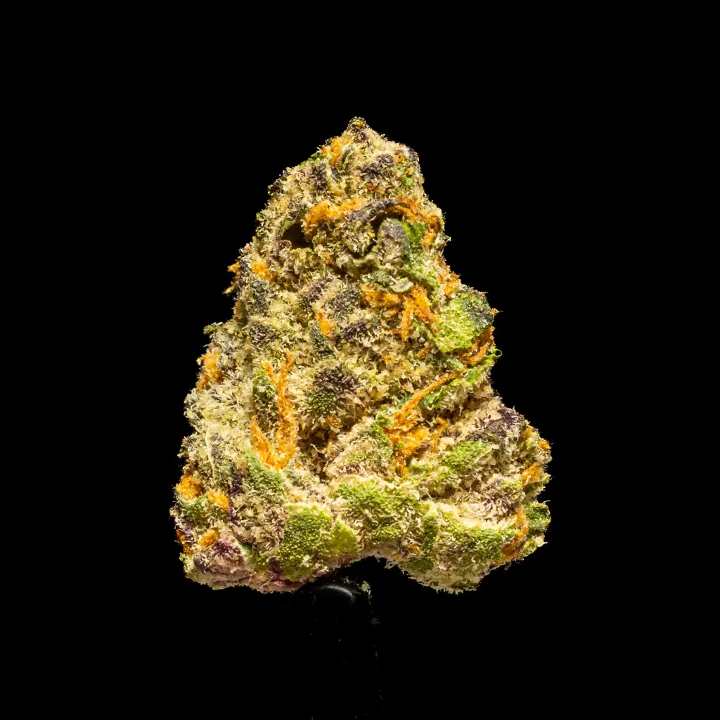 London Pound Cake Indoor Smalls -FLOAT- 120825.webp