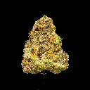 London Pound Cake Indoor Smalls -FLOAT- 120825.webp