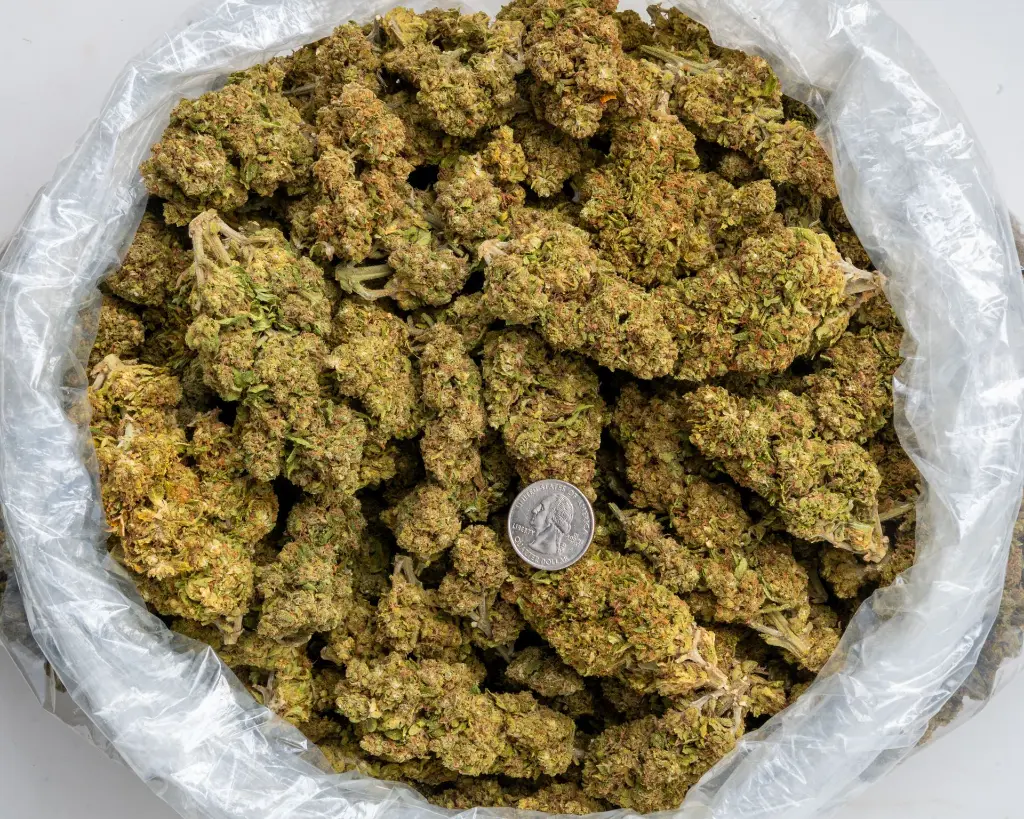 GG #37 -BAG- 120925.webp