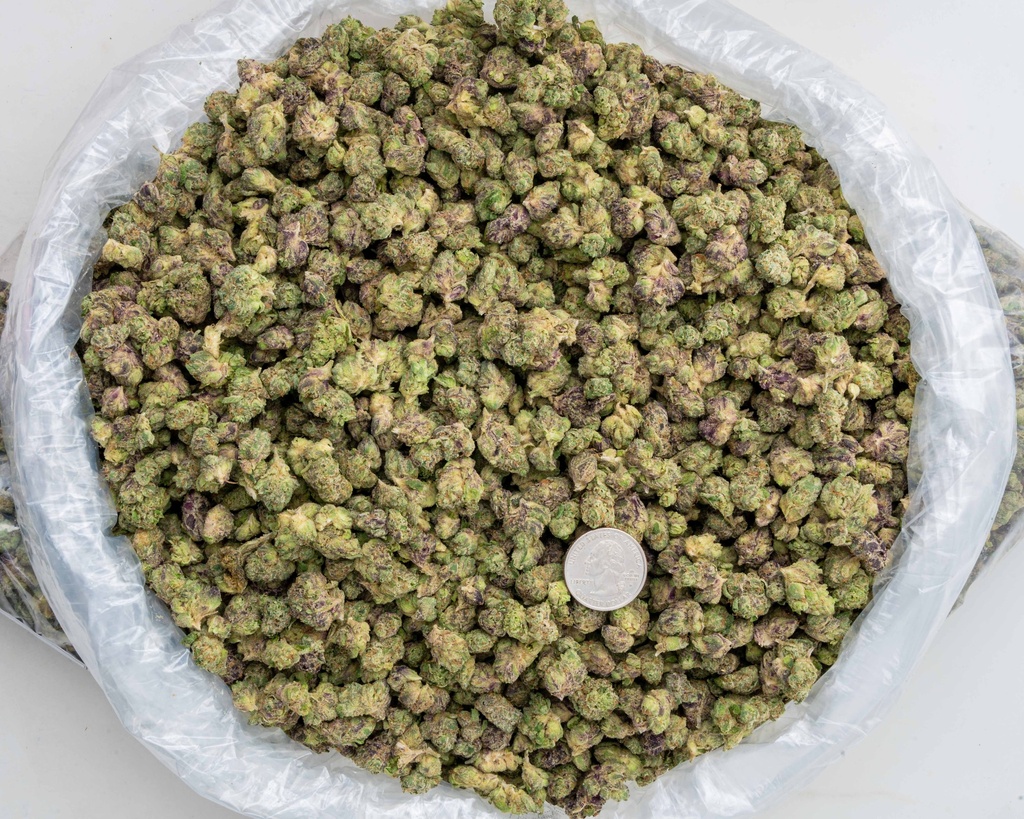 Lipsmackerz Indoor Smalls -BAG- 081525.webp