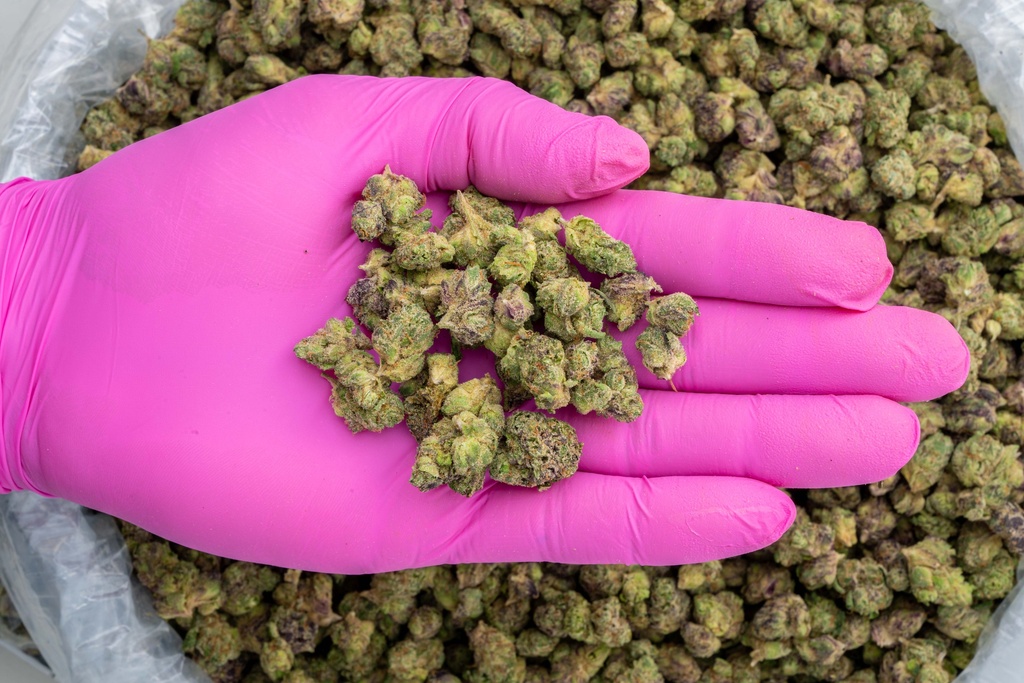 Lipsmackerz Indoor Smalls -PINK- 081525.webp