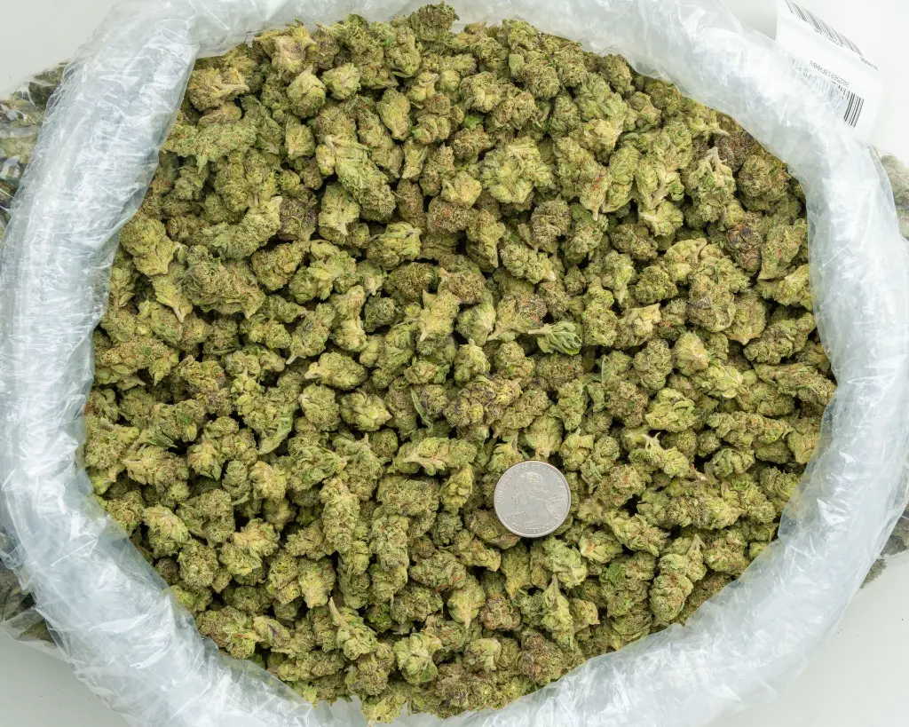 Garlic Truffle Smalls -BAG- 081825 20250818FHHBS.webp