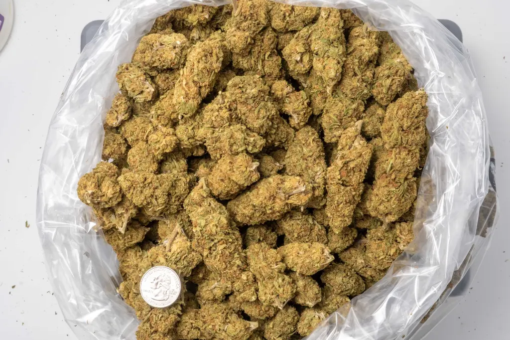 EKELTRA CBD 12-11-25 BAG.webp