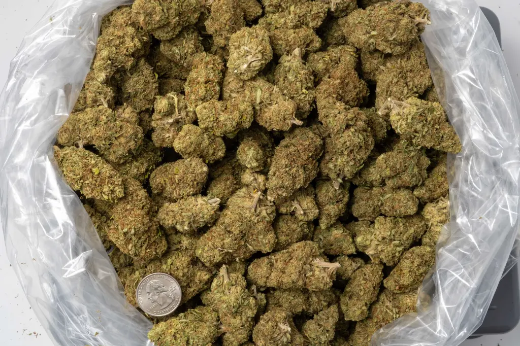 Cakeberry Borlee CBD 12-11-25 BAG.webp