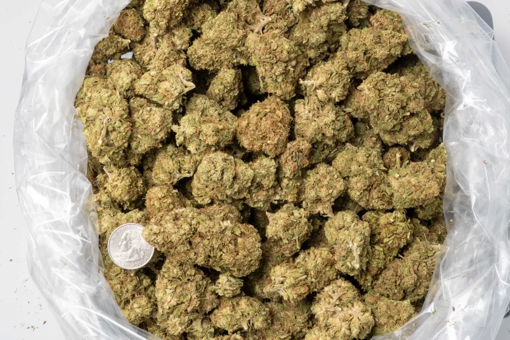 SOUR CHEM CBD 12-11-25 BAG.webp