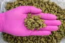 Green Crack Smalls- PINK- 8-20-25.webp