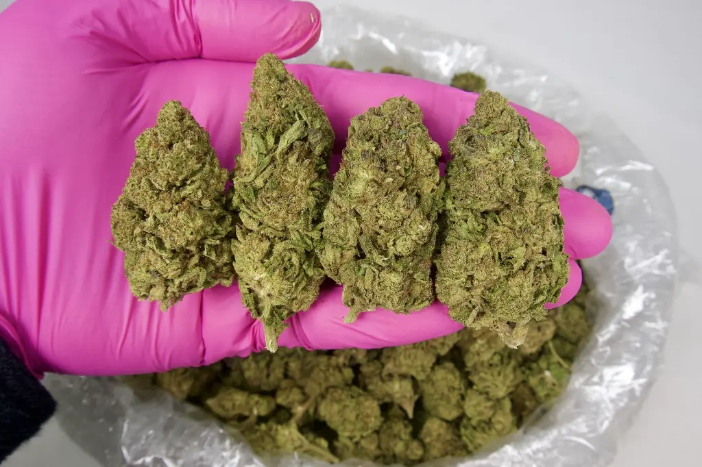 Cereal Milk 1 8-28-24 20240801SHZRF.webp