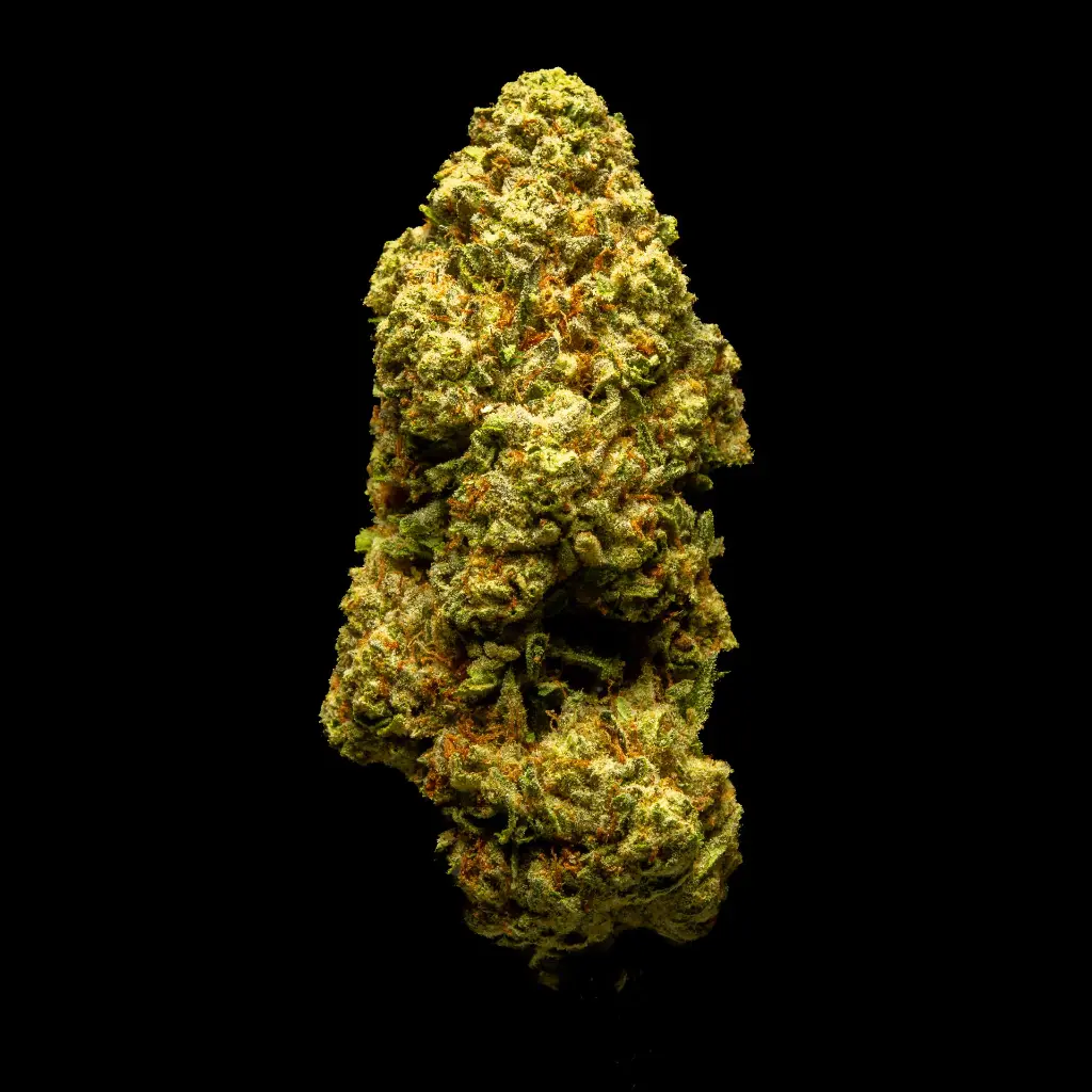 Amaretto Sour -FLOAT- 081825 20250818MKAMS.webp