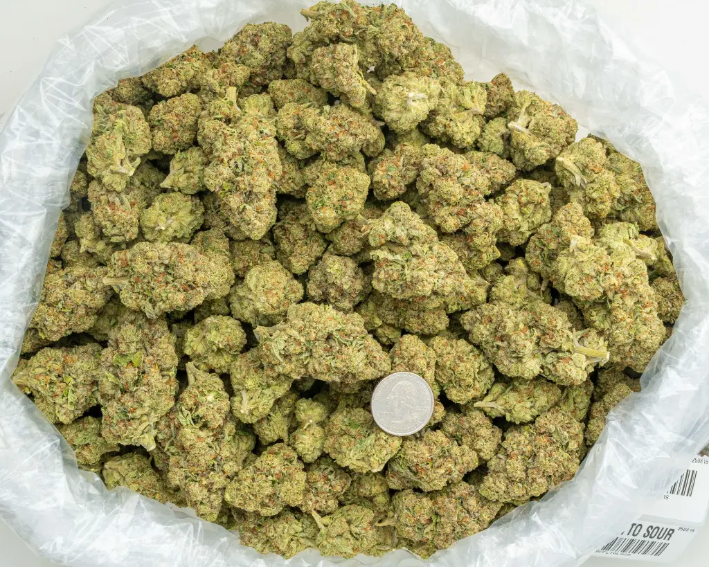 Amaretto Sour -BAG- 081825 20250818MKAMS.webp