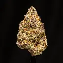 Super Buff Cherry -FLOAT- 121725.webp