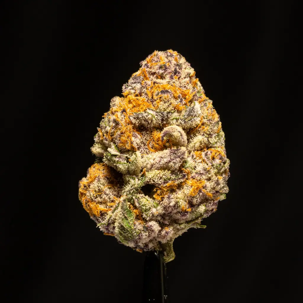 Whooze -FLOAT- 121725.webp