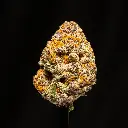 Whooze -FLOAT- 121725.webp