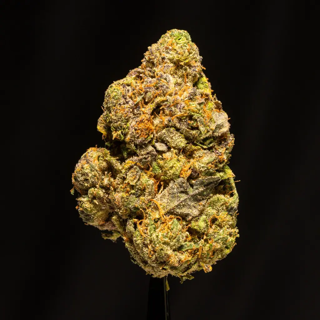 Lipsmackerz Indoor -FLOAT- 121725.webp