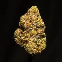 Lipsmackerz Indoor -FLOAT- 121725.webp