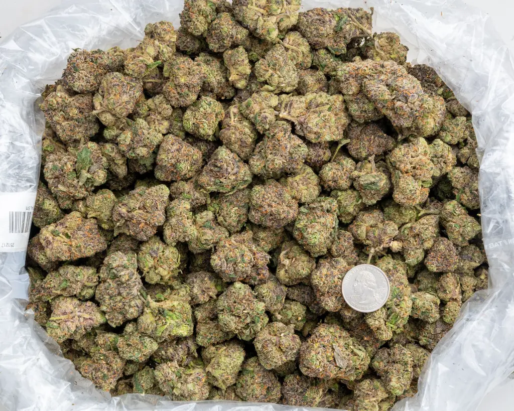 Lipsmackerz Indoor -BAG- 121725.webp