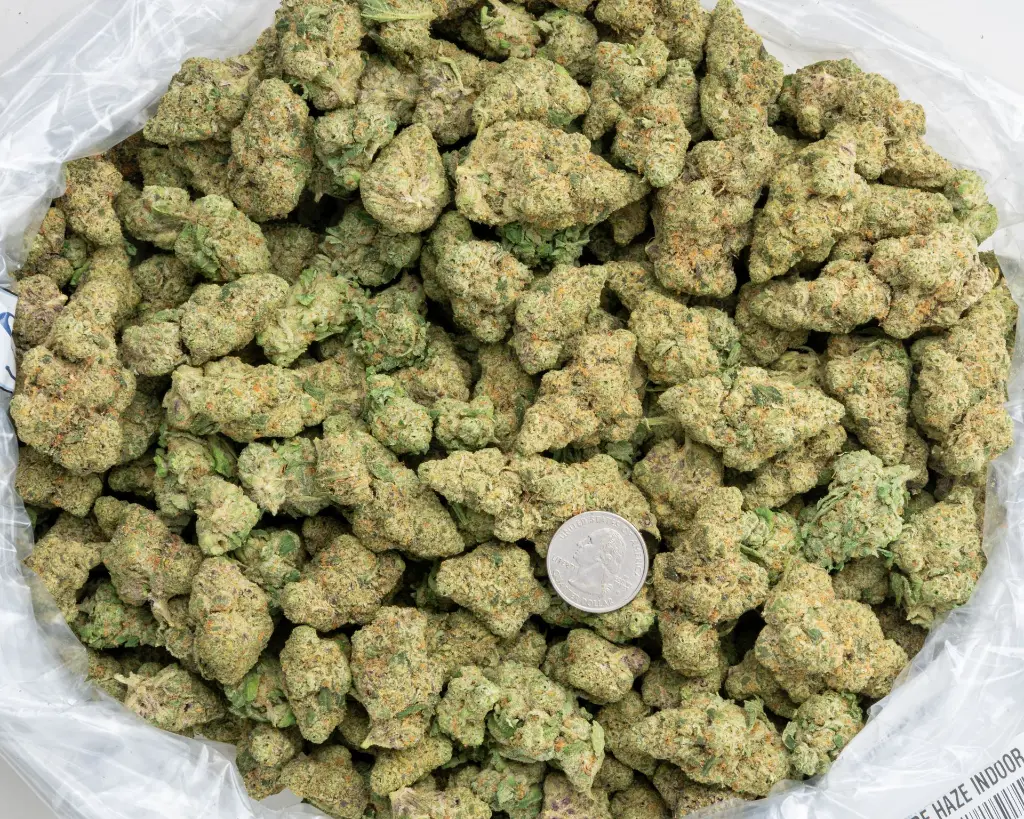 Zativa Indoor -BAG- 121725.webp