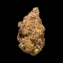 Blueberry Muffin Indoor -FLOAT- 121725.webp