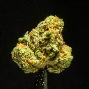 Gary Zkittles Indoor Mediums -FLOAT- 091525 20250915VGRBM.webp