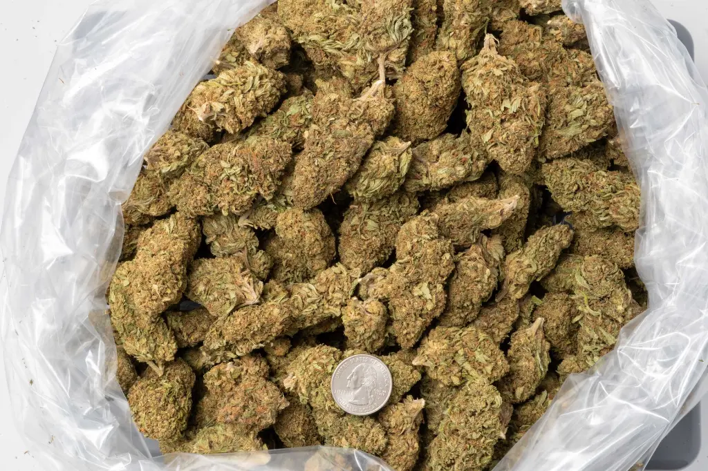 OG CBD 12-11-25 BAG.webp