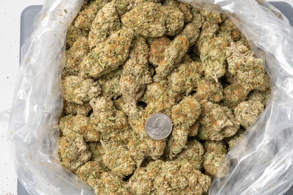 CBG CBD 12-11-25 BAG.webp