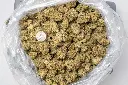 Lemon Octane CBD 12-18-25 BAG (1).webp