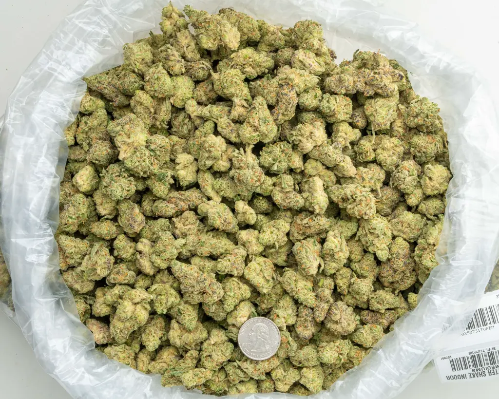 Peanut Butter Shake Indoor Mediums -BAG- 080125 20250731TVPBM.webp