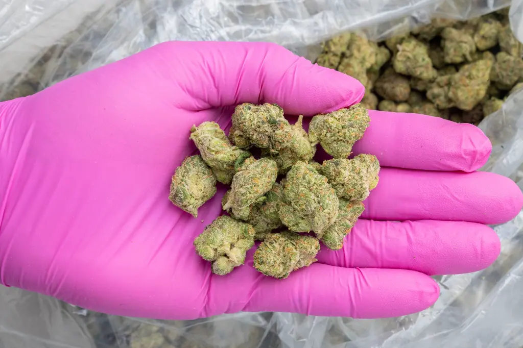 Private Reserve Indoor Mediums -PINK- 122225.webp