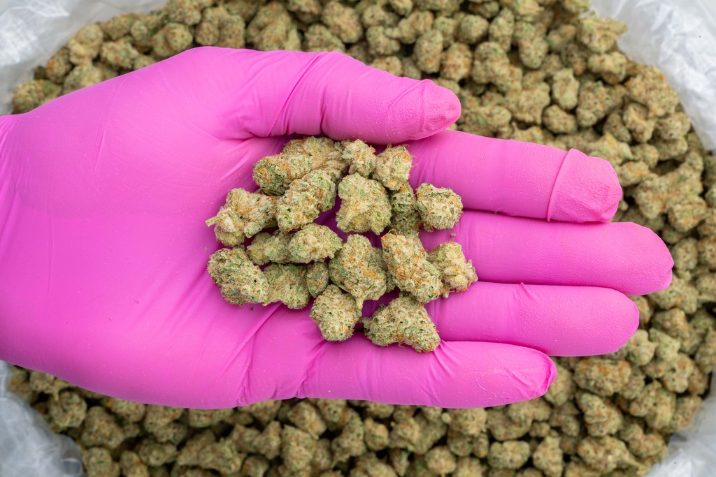 Frosted Freak Indoor Smalls -PINK- 081525.webp