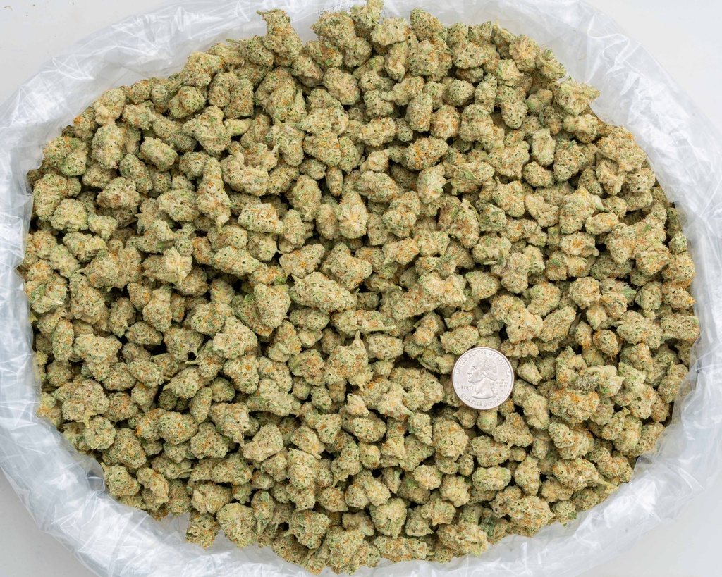 Frosted Freak Indoor Smalls -BAG- 081525.webp