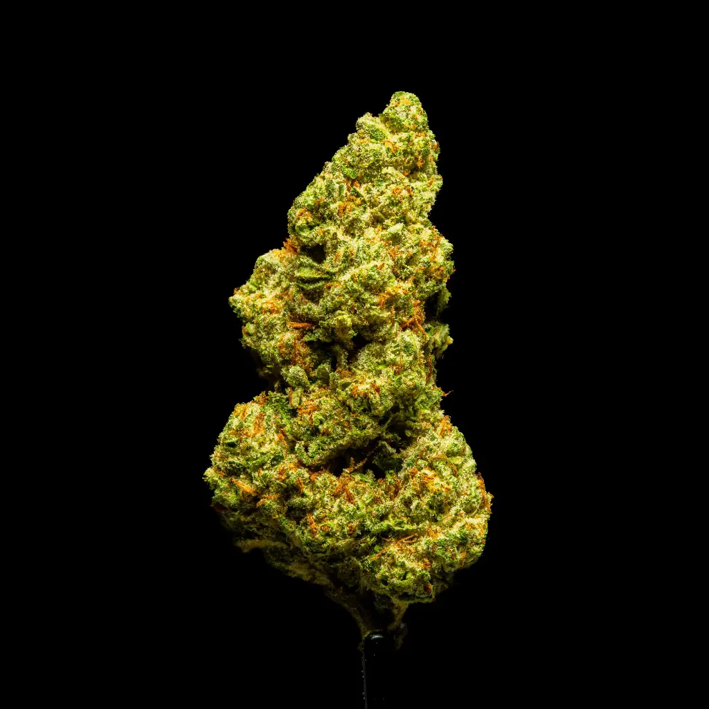 Red Bull Indoor -FLOAT- 082125 20250820MTRDB.webp