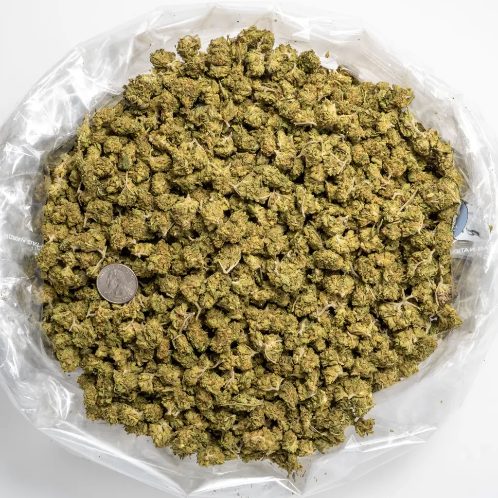 Top Gun Smalls -Quarter- 061325..webp