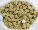 Future Haze Indoor -BAG- 082725 20250813SAFHZ.webp
