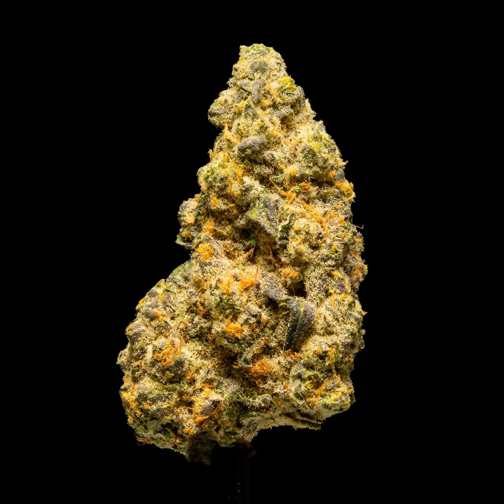 Future Haze Indoor -FLOAT- 082725 20250813SAFHZ.webp